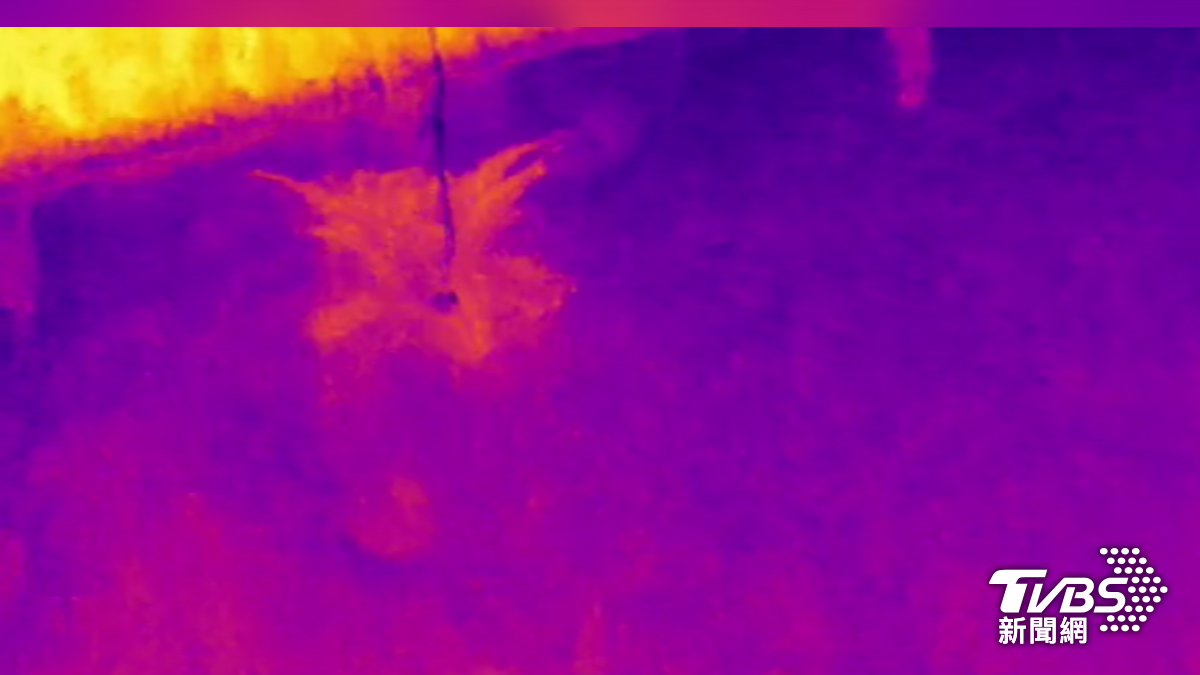 消防署添購AI無人機!熱顯像「秒辨人體位置」山域搜救更精準