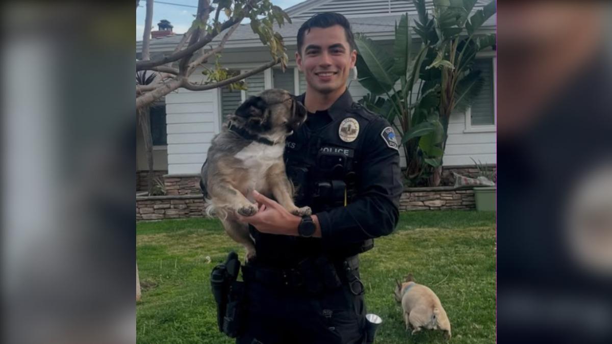 南加州天菜警官抱法鬥照爆紅 網嗨喊想當狗:我闖紅燈快來抓我