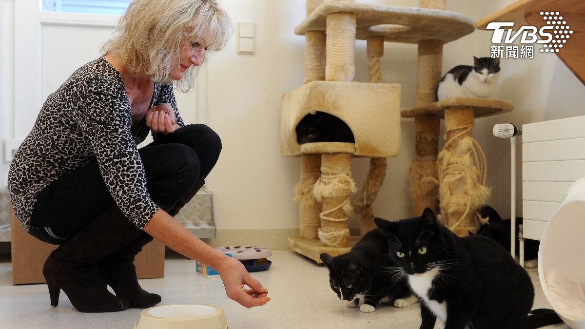 當寵物保姆省房租 邊玩邊存下大筆退休金