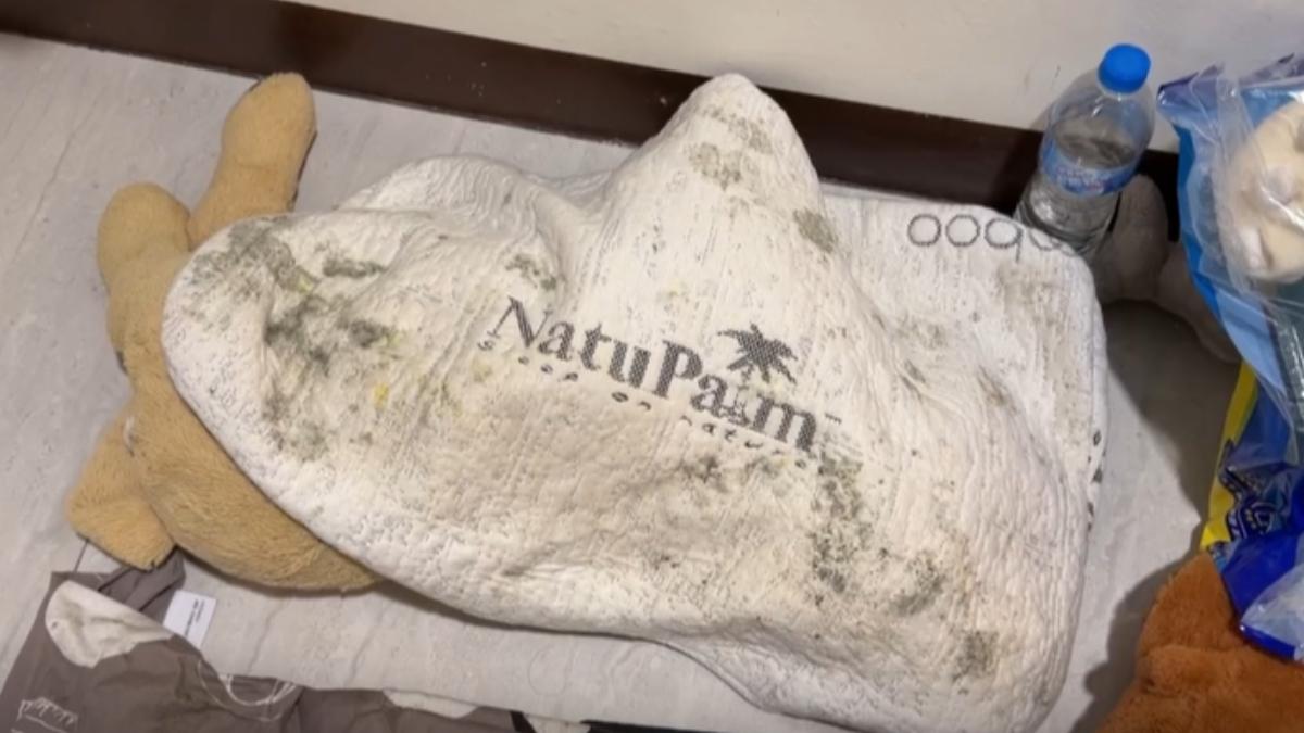 影音/返鄉2週回租屋「滿屋發霉」!床墊枕頭全長黑斑 房間慘變霉窟