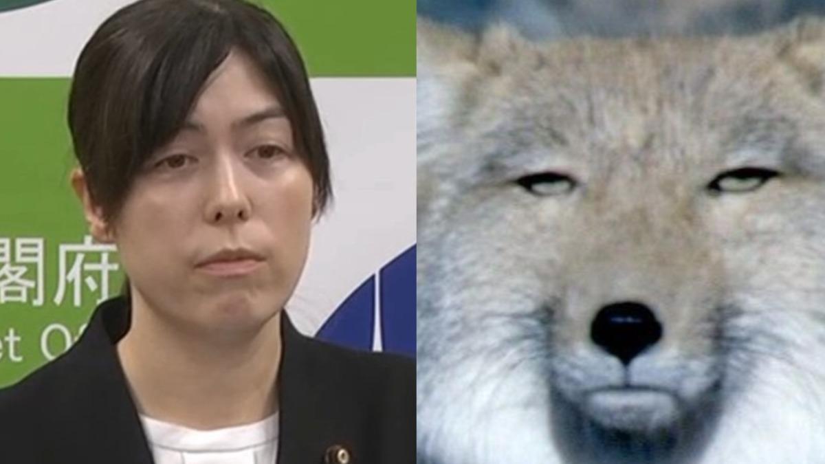 最不典型大臣?小野田紀美再任拒收花籃 「藏狐臉」迷因掀熱議