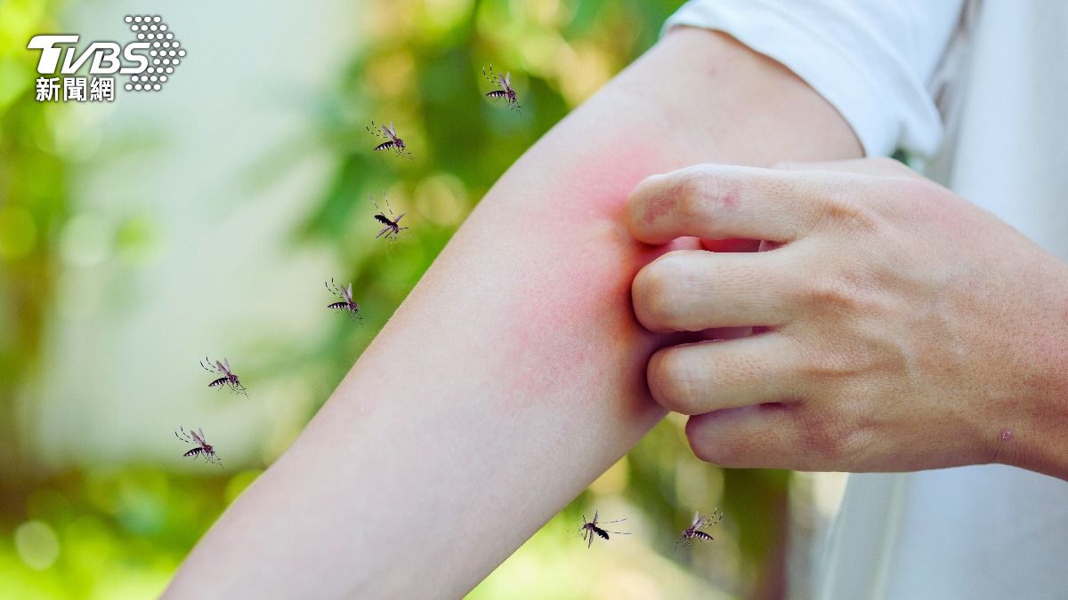別當人體捕蚊燈!「2地雷色」最招蚊 醫警告亂抓下場超驚人
