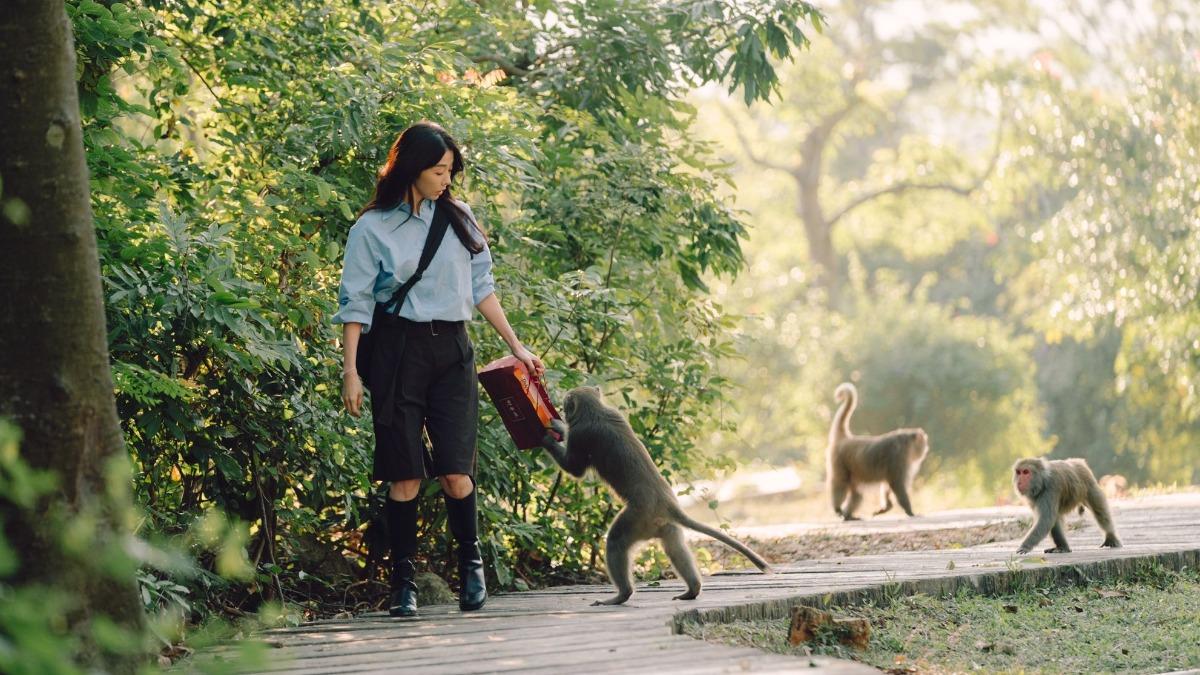 Panchi君暴紅!台灣動物園也有猴遭排擠 邵雨薇曝「現場狀況」
