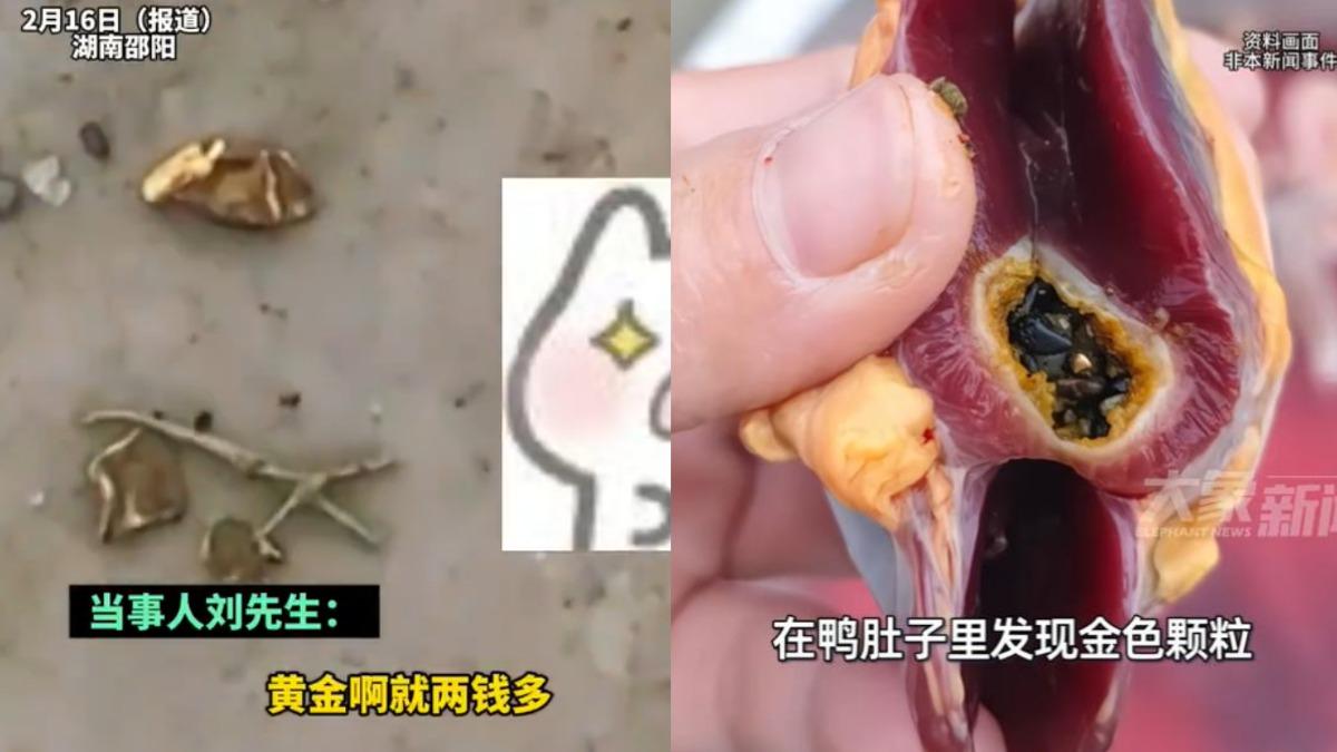 年菜中撿紅包!陸男過年宰鴨「摸肚突見硬物」 火燒鑑定竟是黃金