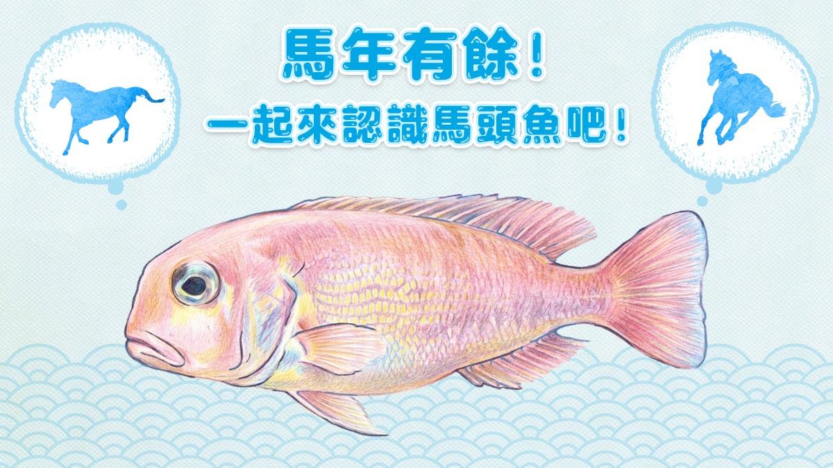 老饕超愛!台灣「1魚類」全年皆產 農業部曝:進港就搶購一空