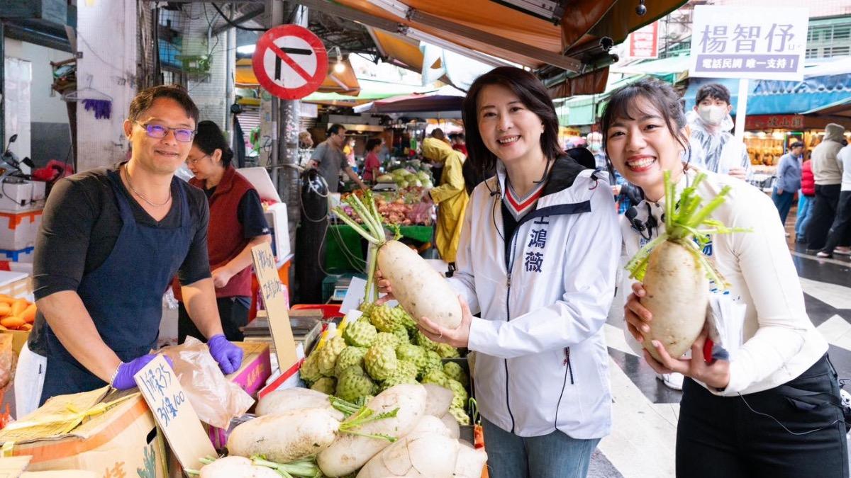 隔空較勁費鴻泰!王鴻薇力挺「她」進軍議會:新戰力補位