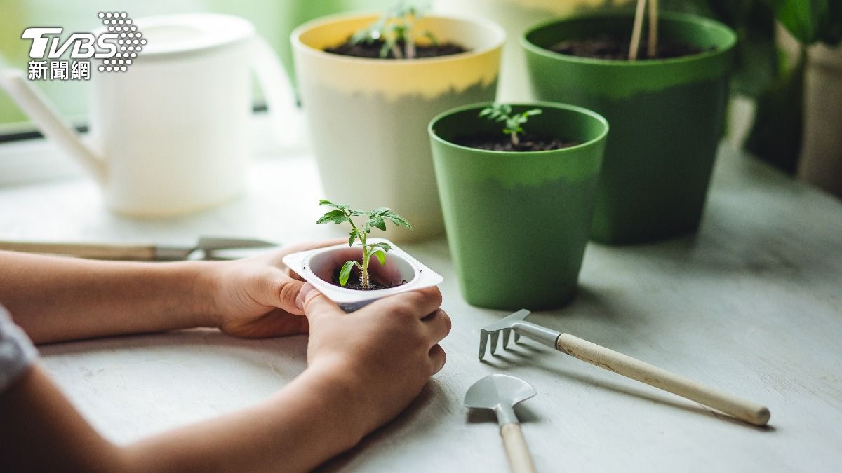 3/5驚蟄到!專家揭「轉運4撇步」:3種綠色蔬菜事業運飆