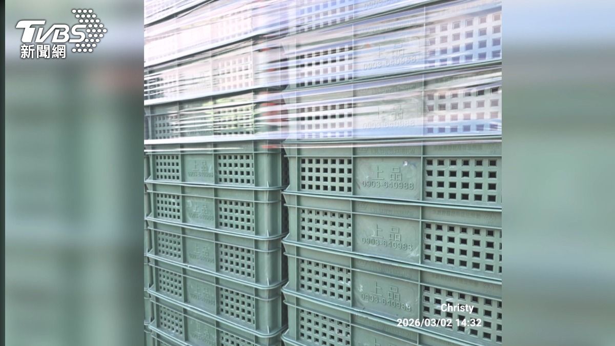 草莓盤商「空手套白狼」!春節詐騙果農 塑膠籃廠也遭殃