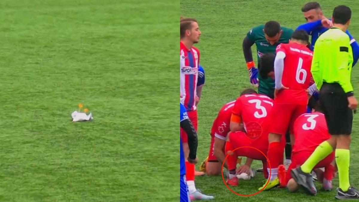 海鷗被足球擊落!土國隊長衝第一CPR 沒贏比賽仍喊:救命重要