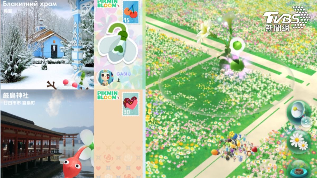 皮克敏紅什麼?爸媽比年輕人還瘋!玩法、明信片、種花技巧攻略