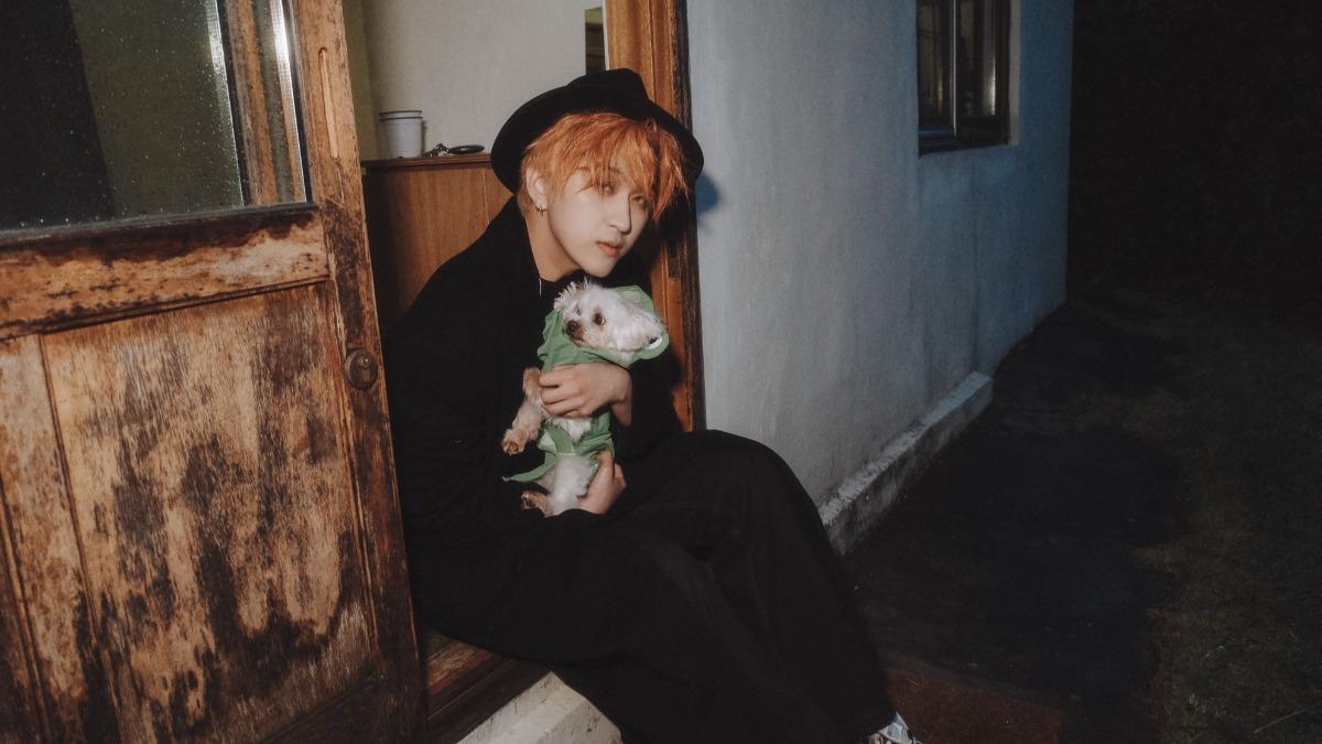 人氣男團成員韓國街頭「被搶表演費」!寒冬暴雨保護愛犬 淒涼畫面曝光