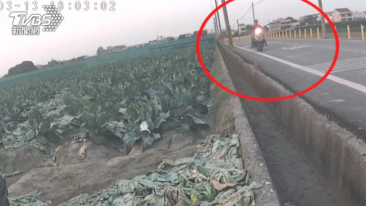 影音/公告「偷1顆罰10萬」照偷!西螺菜農自費裝監視器抓賊 2嫌落網函送