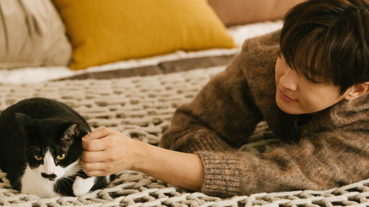 炎亞綸領養沒人要的老貓!罕吐「內心話」:想當有溫度的人