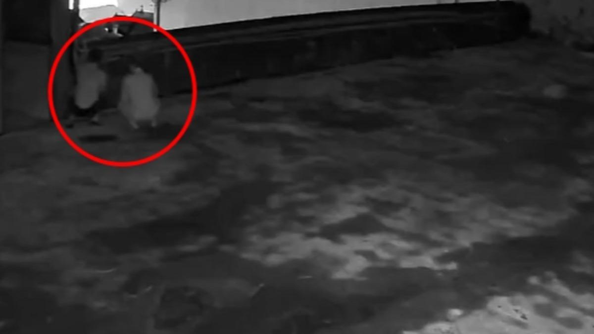 影音/神不知鬼不覺?2賊闖消防舊址偷電纜 「滿手油漬」當場被逮