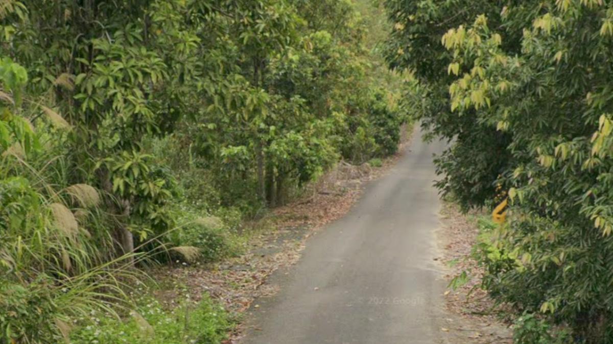 嘉義水上公墓火警 3消防員射水「土堆突爆炸」急送醫