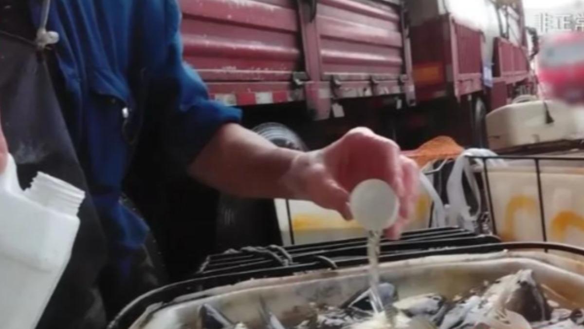 活魚變「休眠魚」好運送!陸魚販加工業酒精稀釋 劇毒甲醇恐下肚