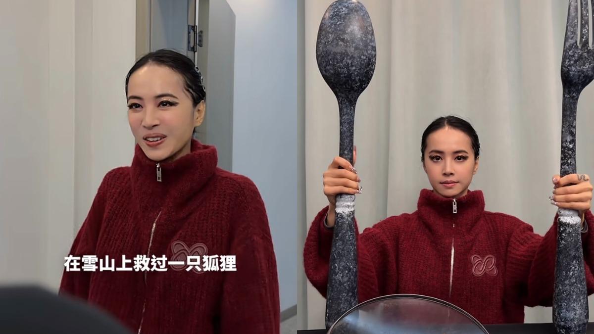 你是否在雪山救過一隻狐狸?蔡依林跟風「雪山救狐狸」迷因超爆笑