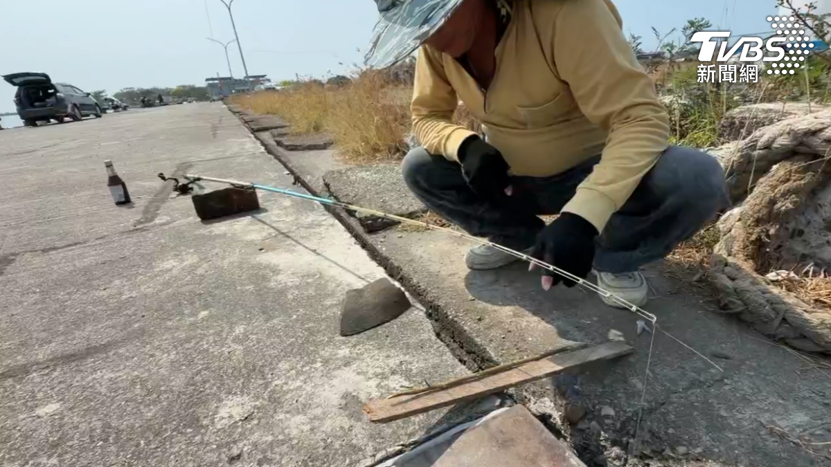 夾縫中求上鉤? 釣客在「水泥地隙縫」竟釣到石斑