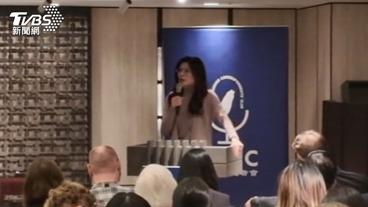 影音/鄭麗文出席外媒記者會駁擋軍購!強調鄭習會絕無交換條件