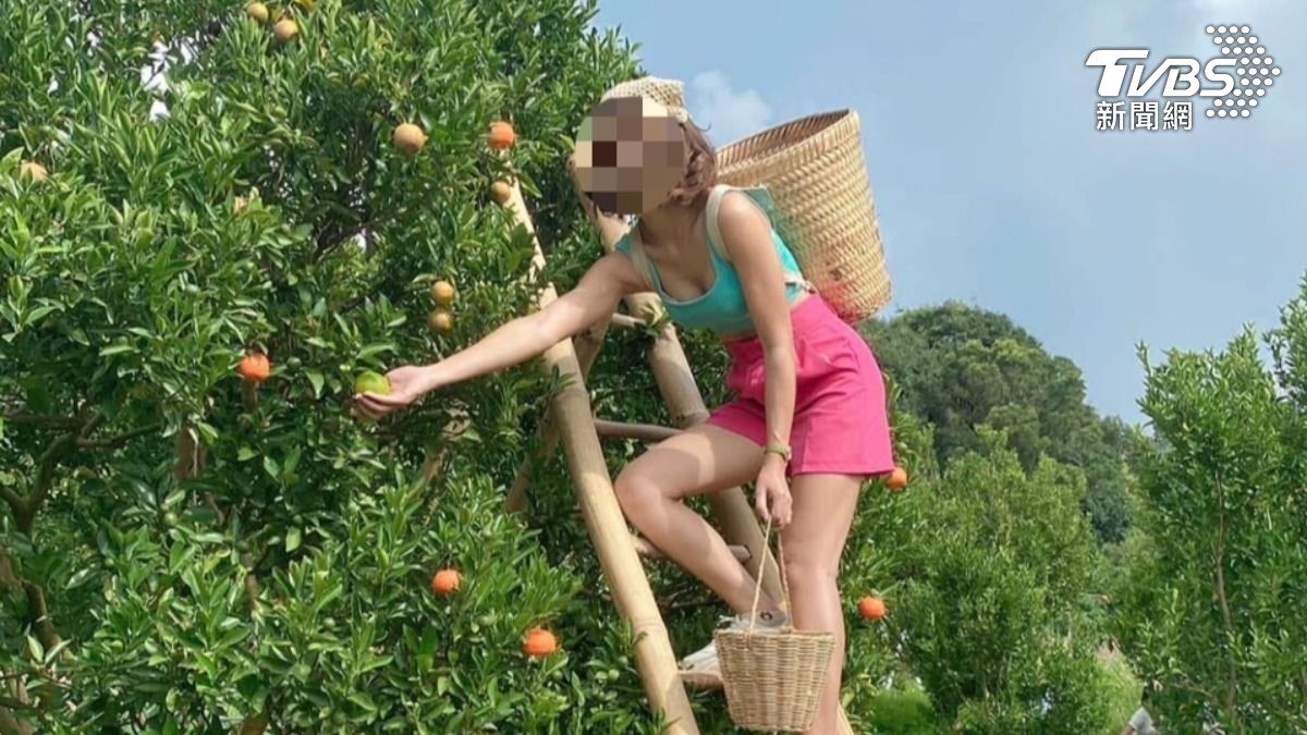 「農場美女照」狂吸百泰女 來台慘淪血汗奴工還被丟包山區