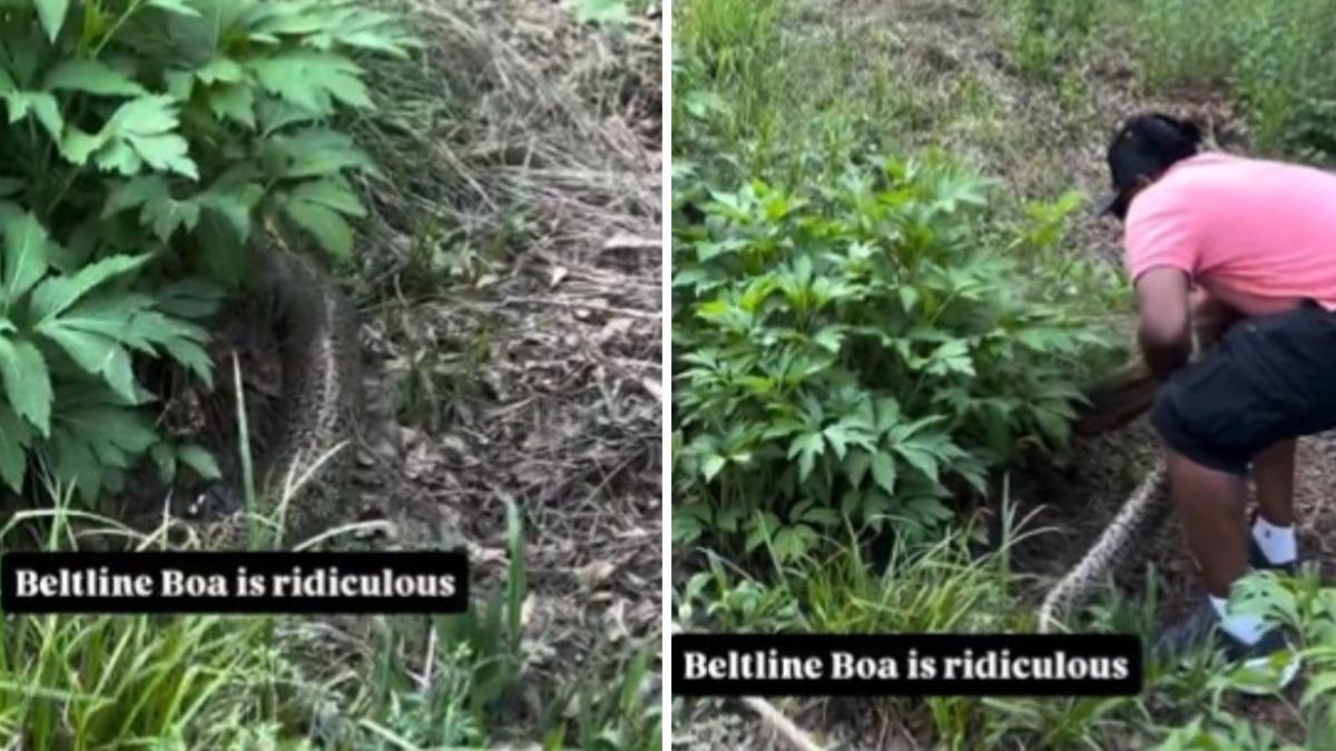 巨蟒現身亞特蘭大市中心!路人嚇壞 他竟徒手抓蛇尾畫面曝