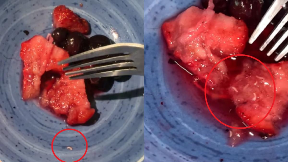 好市多草莓驚現白色小蟲!他全吞下肚崩潰 衛生局稽查結果曝