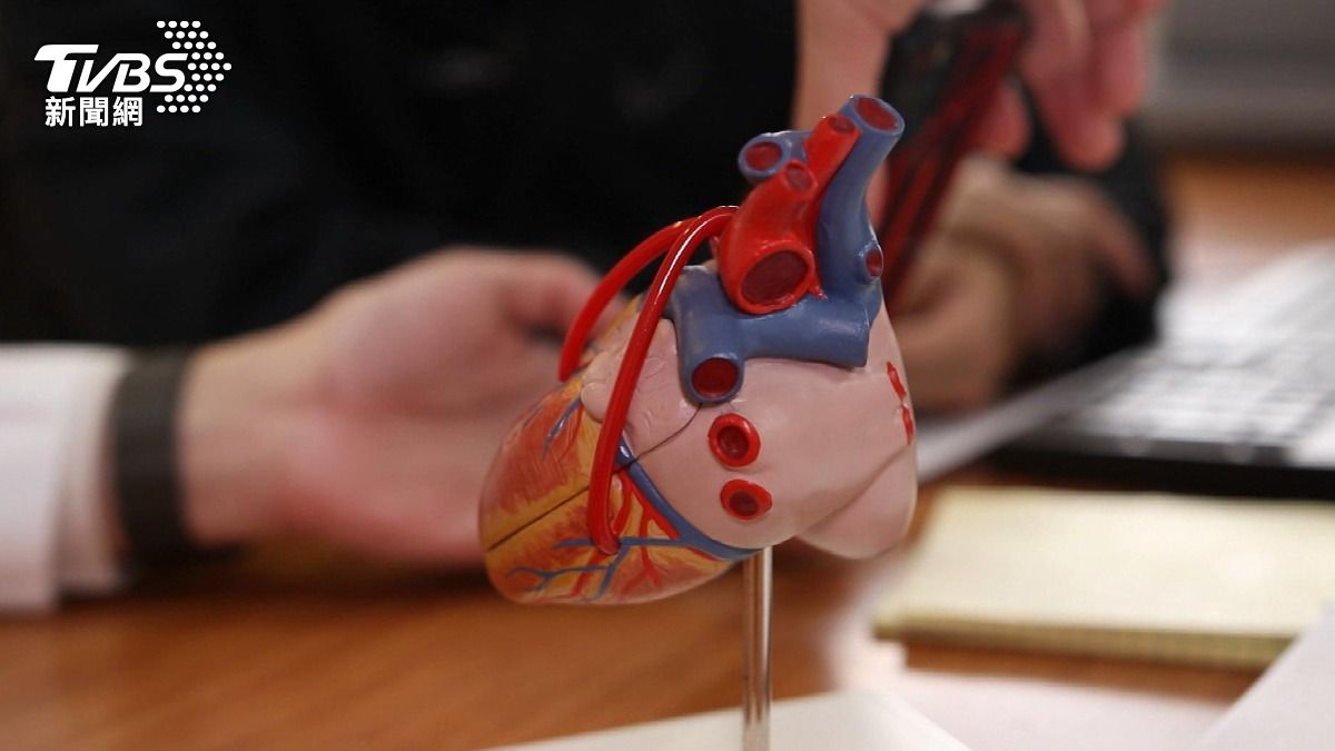 高血脂沒症狀最危險!醫揭「壞膽固醇」堆積機轉 「動脈硬化」恐致心梗中風