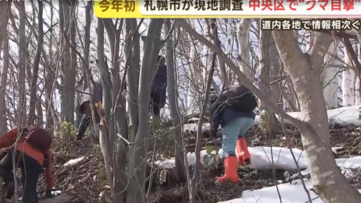 又有熊出沒?札幌、福島驚傳目擊報告 當局籲:清垃圾要當心