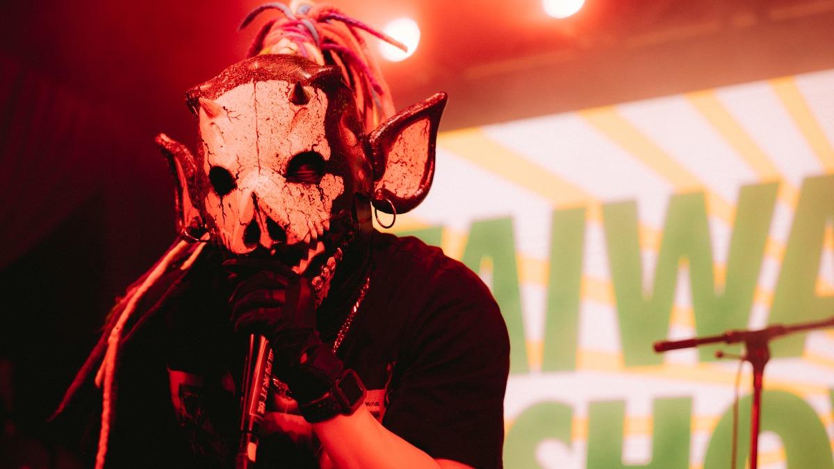 金曲樂團紅到美國!血肉果汁機嗨喊「台灣是美麗國家」 一登台現場塞爆