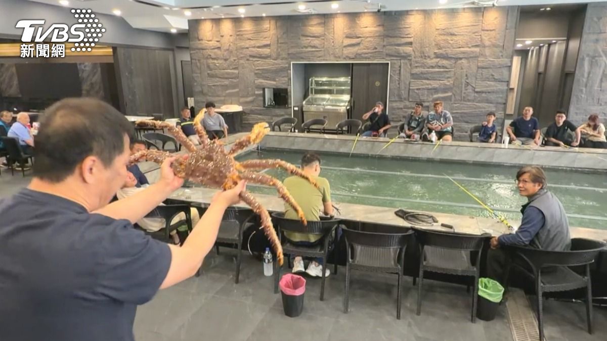 獨/龍蝦、帝王蟹丟池裡! 台南釣蝦場限定活動 2hrs要價5千