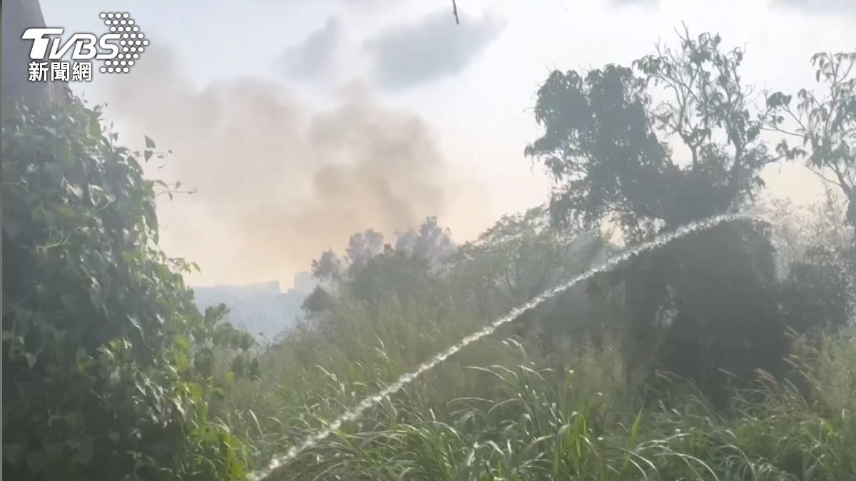同地點「早中晚各燒一次」!雲林竹林離奇火警 5百多隻浪浪險遭殃