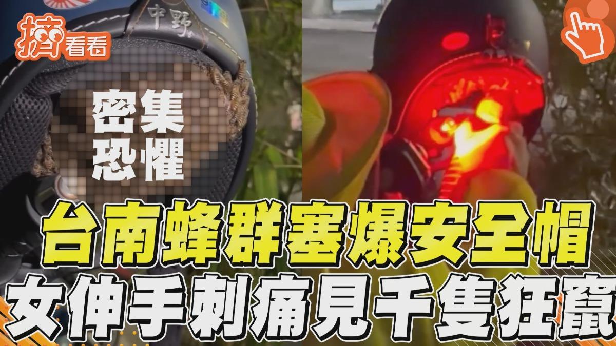 影音/台南蜂群築巢「塞爆安全帽」 女伸手刺痛驚見「千隻狂竄」