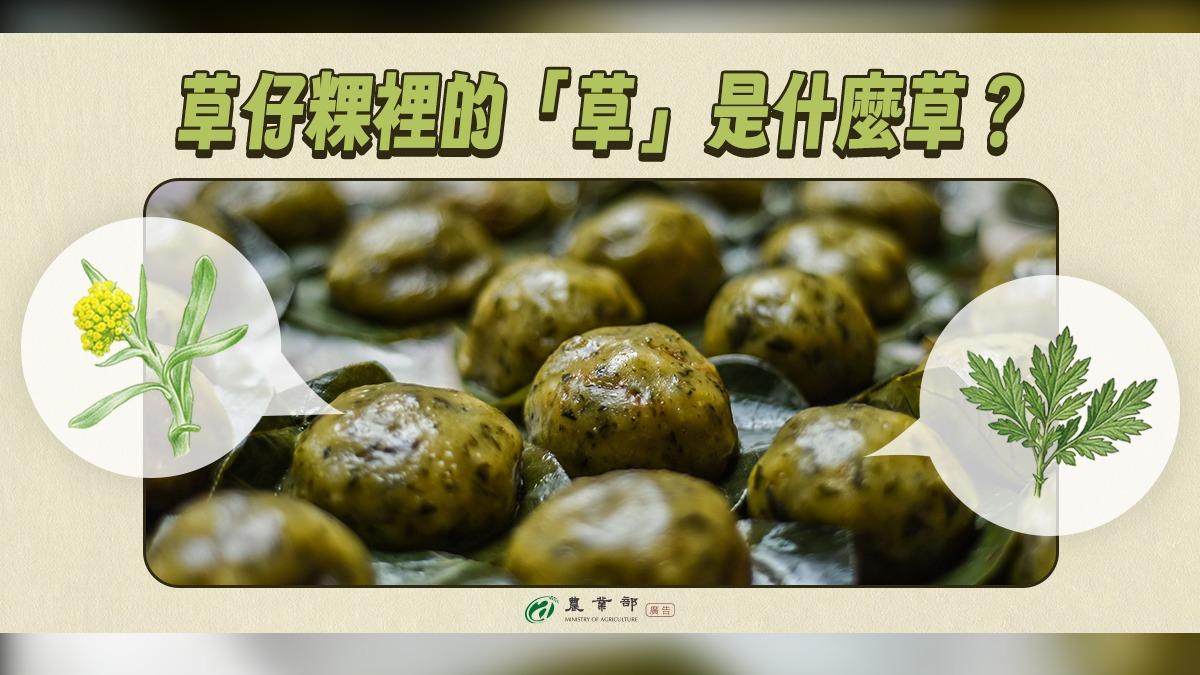 清明限定綠色!農業部科普:草仔粿的「草」原來是它