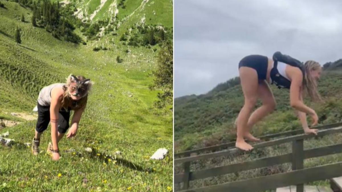 模仿動物走路!四足運動掀熱潮 瘦身練腹肌好處多多