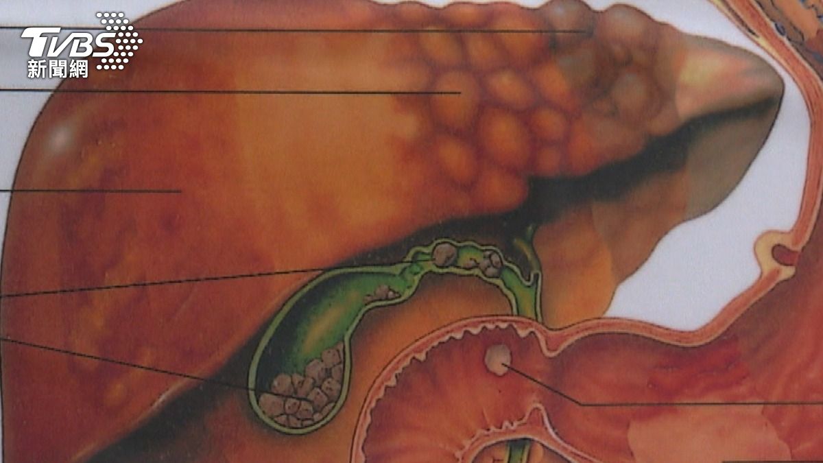 春季養肝怎麼做?中醫教你從情緒、飲食到作息全面調整!