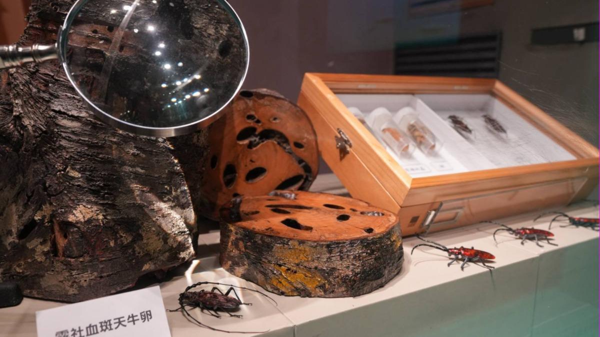 聯手科博館!台電推生態特展秀10明星物種 今起盛大展出