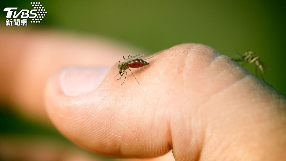 蚊子一直嗡超崩潰!網用「控燈」秒解決 一覺到天亮