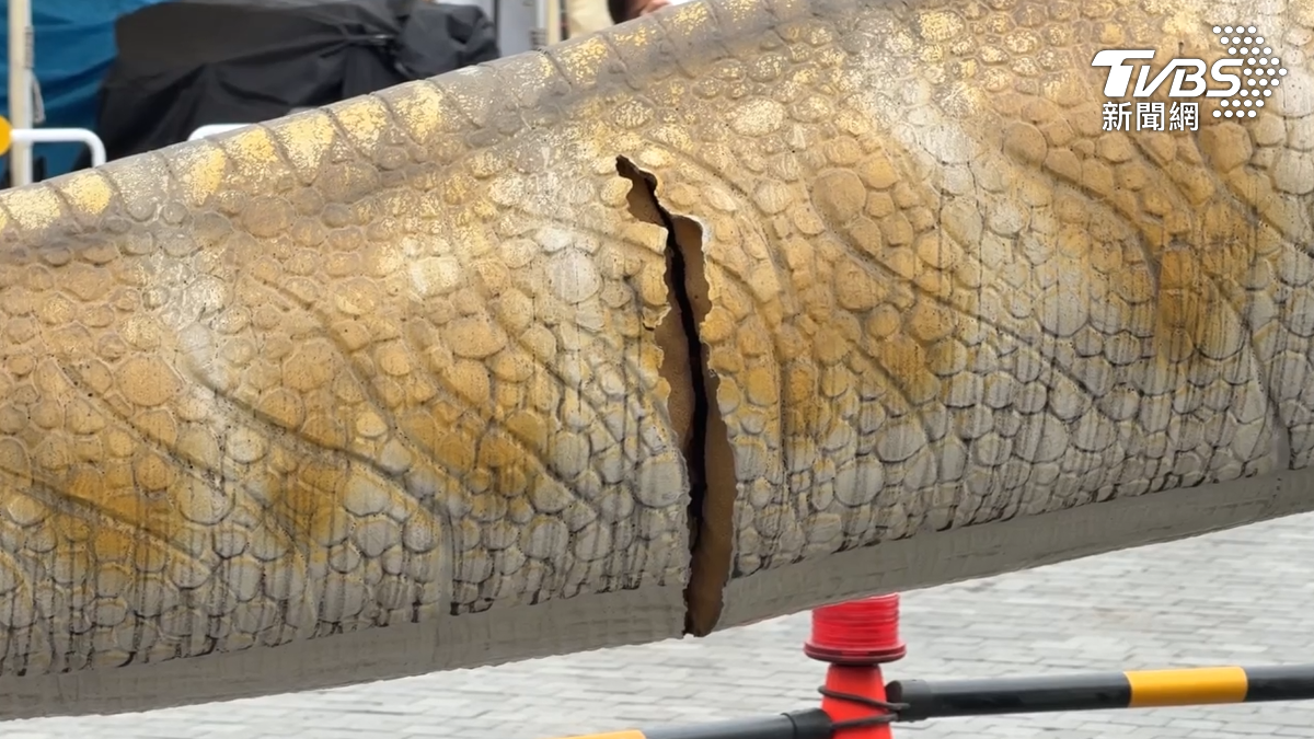 [新聞] 別再摸了！　衛武營首日湧25萬人　恐龍尾巴裂開急圍三角錐　 - 八卦 - PTT.BEST 批踢踢爆文 2