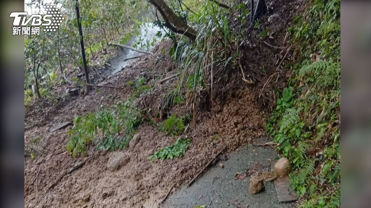 苗栗南庄土石坍塌！樹木連根拔起　泥流淹沒道路受阻