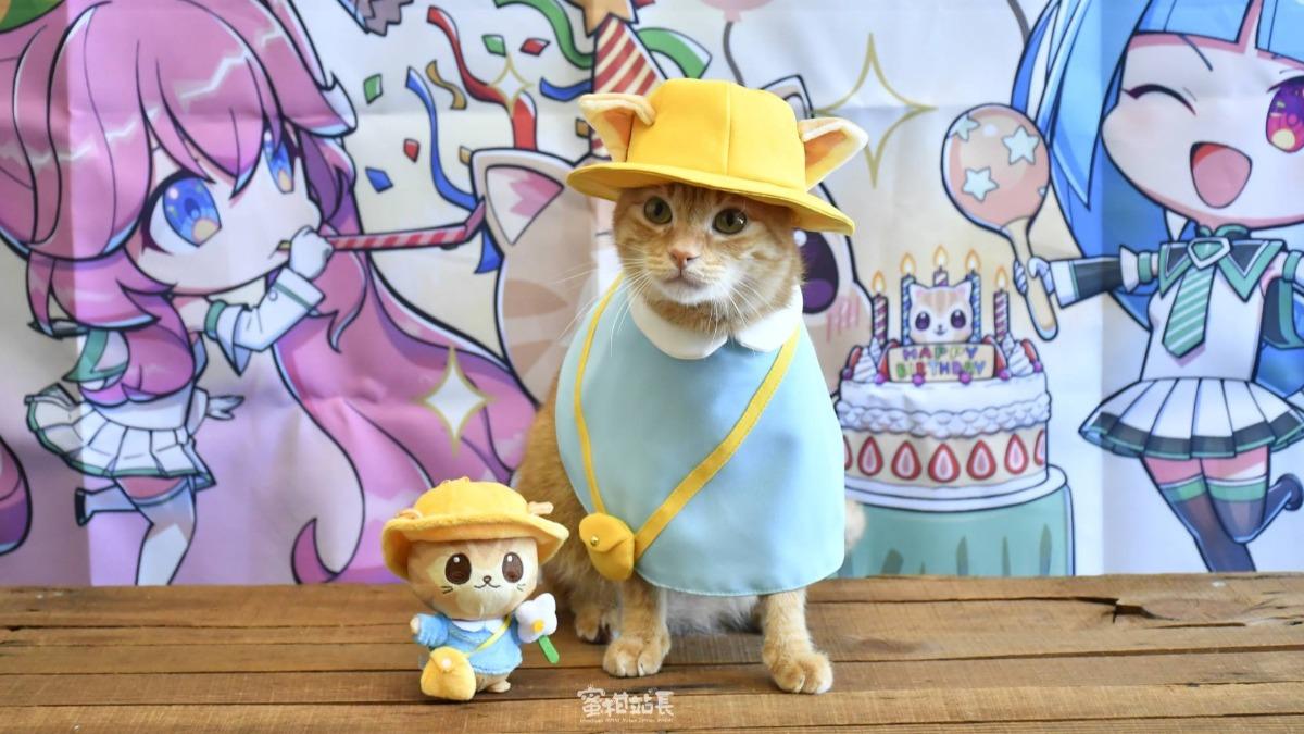 蜜柑站長生日！高雄捷運進站「喵聲四起」　支援廣播呼嚕嚕萌翻