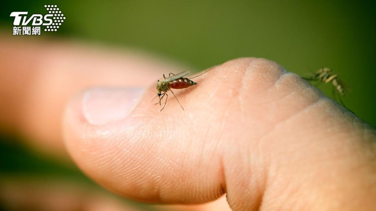 老是打不到!打蚊子神招曝光 「雙手加1物」命中率100%