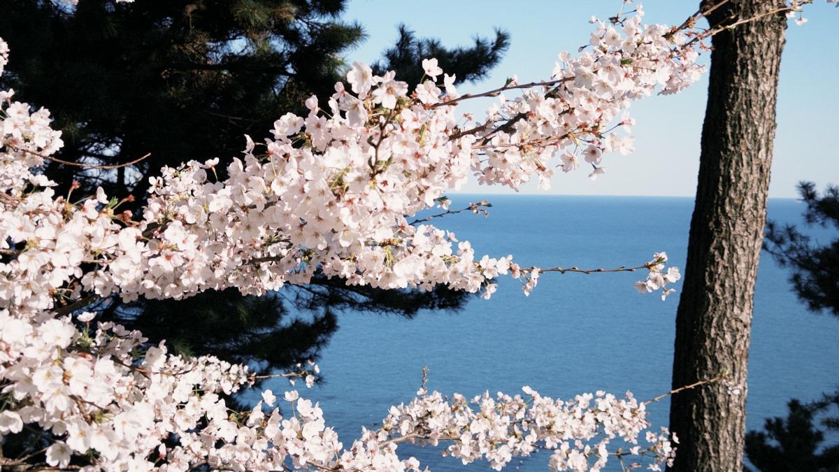 春雨攪局釜山機場!德威12航班取消 6班飛台灣旅客滯留