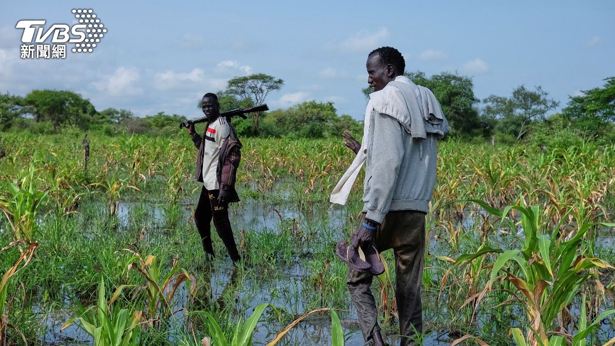 蘇丹婚禮慘遭無人機轟炸!30平民「血肉模糊」慘死 婦幼也難逃