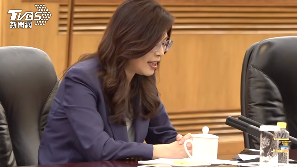 鄭麗文會習近平「全程看稿」 趙少康:怕講錯一字被綠營做文章