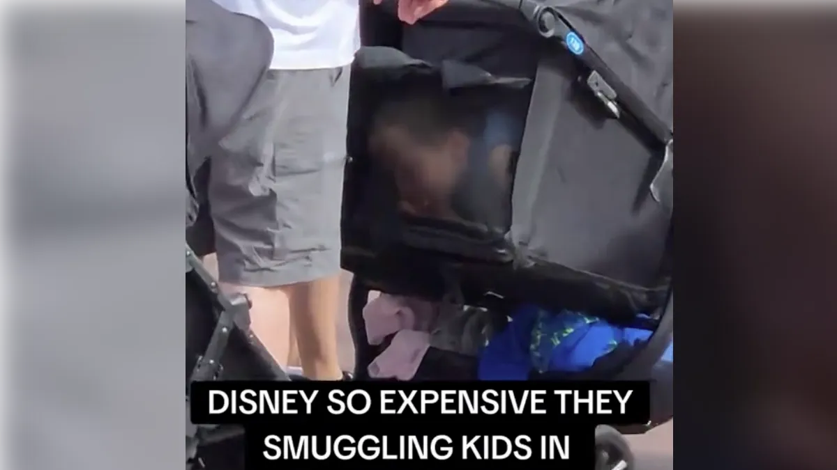 嫌迪士尼門票貴!家長竟把小孩「塞進嬰兒車網袋」偷渡闖關