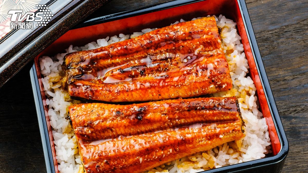 鰻魚超營養!專家揭「4大功效」護眼又補腦:吃一小片抵2顆魚油