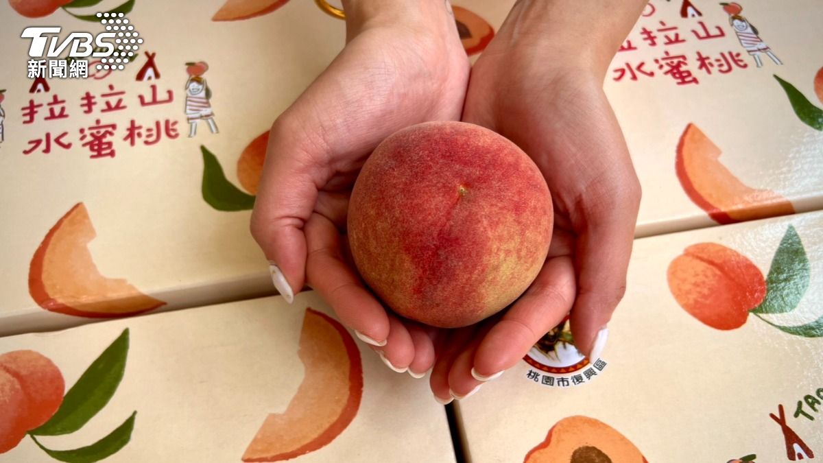 鮮甜首發!桃園拉拉山「媽媽桃」4/13起預購開跑