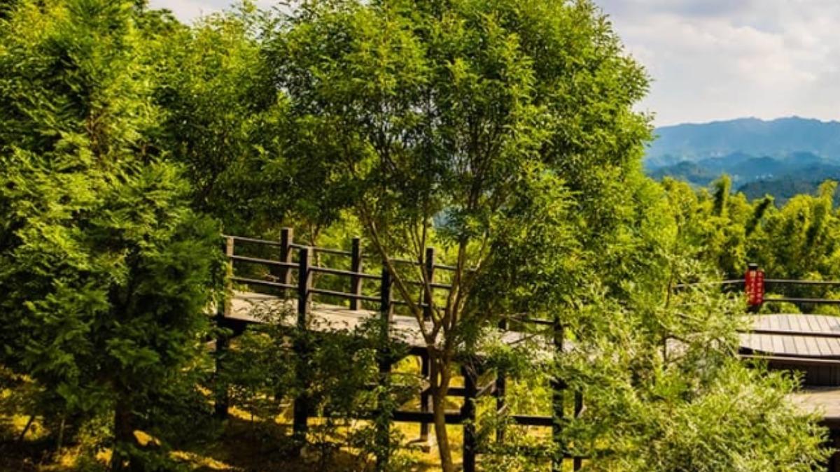 台中大坑步道停車場死亡案 男子穿羽絨背心倒臥車外