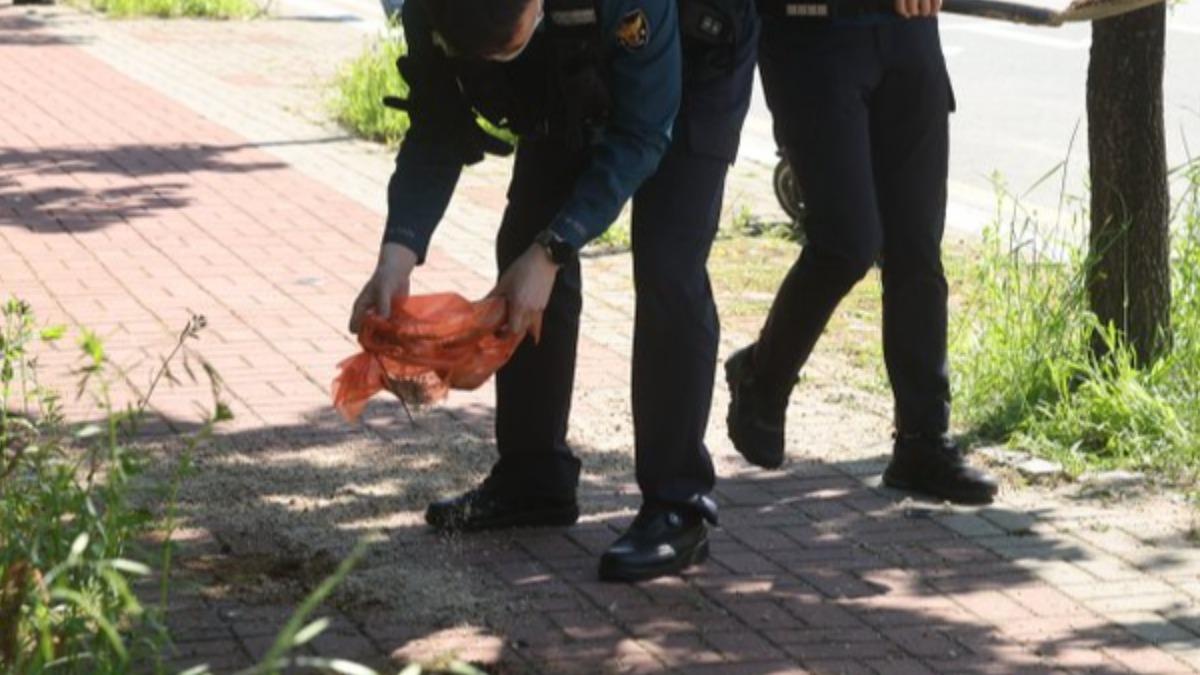 南韓光州爆街頭隨機刺人!女學生「慘遭割頸」慘死 兇嫌仍在逃