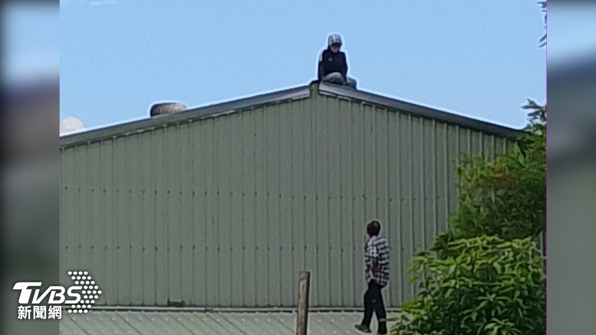 偷哈密瓜被抓包!女竊賊「爬屋頂躲藏」仍遭逮 瓜農心血全毀